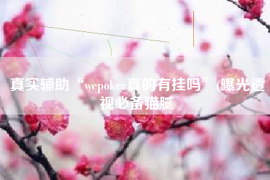 真实辅助“wepoker真的有挂吗	”(曝光透视必备猫腻