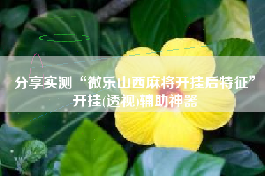 分享实测“微乐山西麻将开挂后特征”开挂(透视)辅助神器