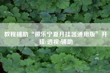 教程辅助“微乐宁夏开挂器通用版”开挂(透视)辅助