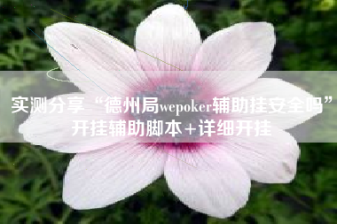 实测分享“德州局wepoker辅助挂安全吗	”开挂辅助脚本+详细开挂