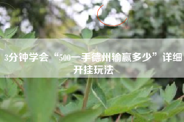 3分钟学会“500一手德州输赢多少”详细开挂玩法