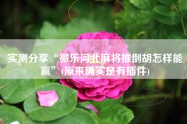 实测分享“微乐河北麻将推倒胡怎样能赢”(原来确实是有插件)