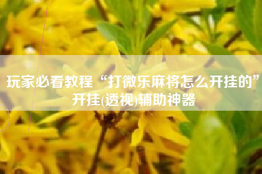 玩家必看教程“打微乐麻将怎么开挂的”开挂(透视)辅助神器