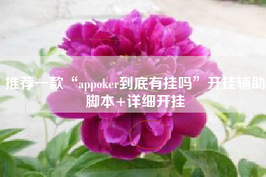 推荐一款“appoker到底有挂吗	”开挂辅助脚本+详细开挂