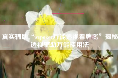真实辅助“wepoker万能透视看牌器”揭秘透视辅助万能挂用法
