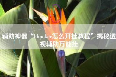 辅助神器“hhpoker怎么开挂教程	”揭秘透视辅助万能挂