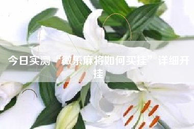 今日实测“微乐麻将如何买挂”详细开挂