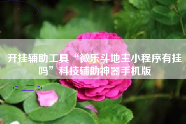 开挂辅助工具“微乐斗地主小程序有挂吗”科技辅助神器手机版