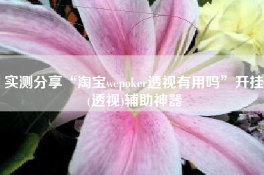 实测分享“淘宝wepoker透视有用吗”开挂(透视)辅助神器