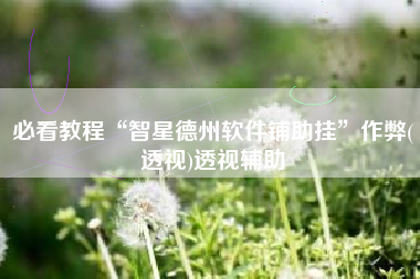 必看教程“智星德州软件铺助挂	”作弊(透视)透视辅助