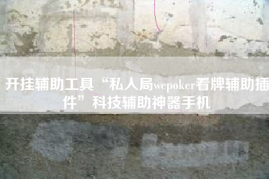 开挂辅助工具“私人局wepoker看牌辅助插件”科技辅助神器手机