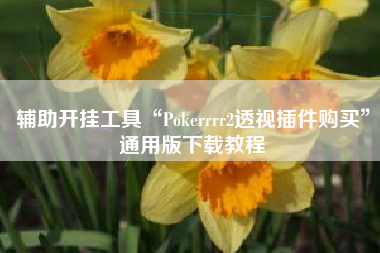 辅助开挂工具“Pokerrrr2透视插件购买”通用版下载教程