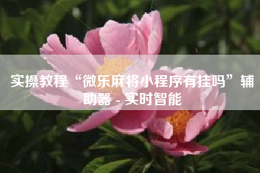 实操教程“微乐麻将小程序有挂吗	”辅助器 - 实时智能