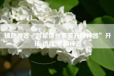 辅助神器“智星德州菠萝开挂神器	”开挂(透视)辅助神器