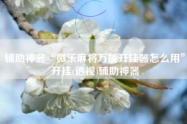 辅助神器“微乐麻将万能开挂器怎么用”开挂(透视)辅助神器