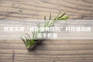 独家实测“德扑圈有挂吗	”科技辅助神器手机版