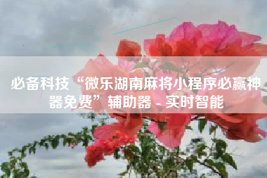 必备科技“微乐湖南麻将小程序必赢神器免费”辅助器 - 实时智能