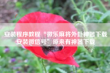 安装程序教程“微乐麻将外卦神器下载安装微信号”原来有神器下载