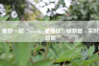 推荐一款“wepoker免费挂	”辅助器 - 实时智能