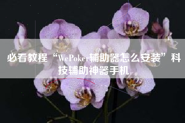 必看教程“WePoker辅助器怎么安装”科技辅助神器手机