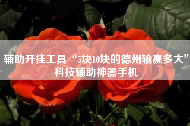 辅助开挂工具“5块10块的德州输赢多大”科技辅助神器手机
