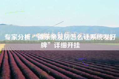 专家分析“微乐亲友房怎么让系统发好牌	”详细开挂