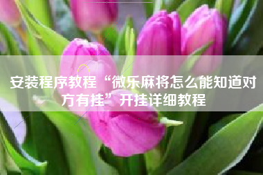 安装程序教程“微乐麻将怎么能知道对方有挂”开挂详细教程