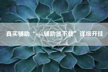 真实辅助“wpk辅助器下载	”详细开挂