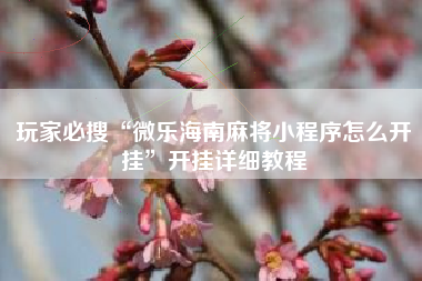 玩家必搜“微乐海南麻将小程序怎么开挂	”开挂详细教程