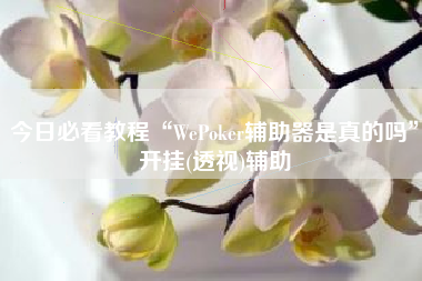 今日必看教程“WePoker辅助器是真的吗	”开挂(透视)辅助