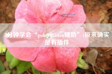 3分钟学会“pokermaster辅助”(原来确实是有插件