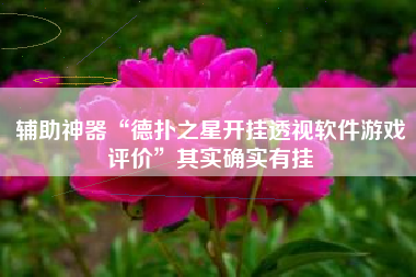 辅助神器“德扑之星开挂透视软件游戏评价”其实确实有挂