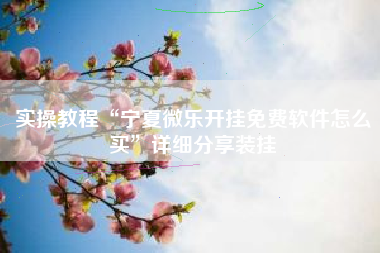 实操教程“宁夏微乐开挂免费软件怎么买	”详细分享装挂