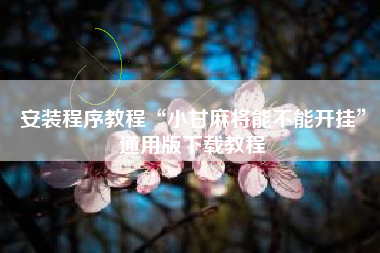 安装程序教程“小甘麻将能不能开挂	”通用版下载教程
