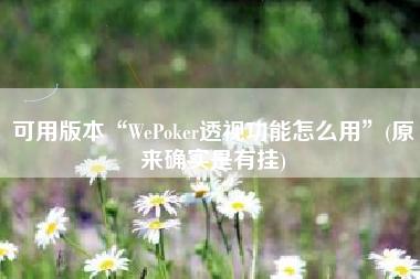 可用版本“WePoker透视功能怎么用”(原来确实是有挂)