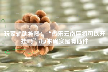 玩家辅助神器：“微乐云南麻将可以开挂吗”(原来确实是有插件