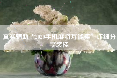 真实辅助“2020手机麻将万能挂”详细分享装挂