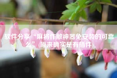 软件分享“麻将作敝神器免安装的可靠么”(原来确实是有插件)