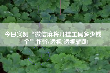 今日实测“微信麻将开挂工具多少钱一个	”作弊(透视)透视辅助