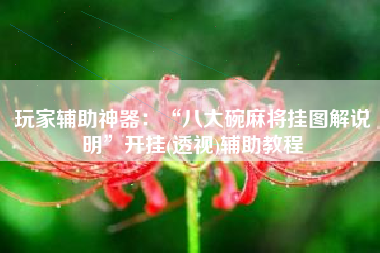 玩家辅助神器：“八大碗麻将挂图解说明”开挂(透视)辅助教程