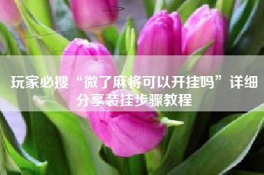 玩家必搜“微了麻将可以开挂吗	”详细分享装挂步骤教程