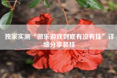 独家实测“微乐游戏到底有没有挂	”详细分享装挂