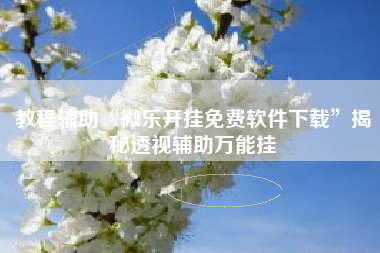 教程辅助“微乐开挂免费软件下载	”揭秘透视辅助万能挂