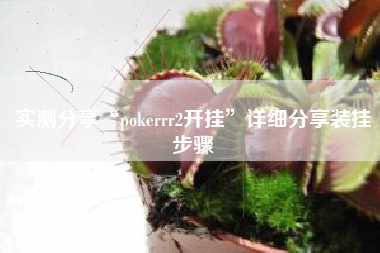 实测分享“pokerrr2开挂	”详细分享装挂步骤