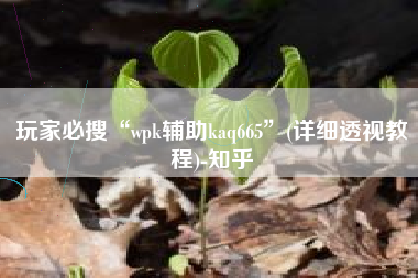 玩家必搜“wpk辅助kaq665	”(详细透视教程)-知乎
