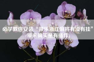 必学教你安装“微乐浙江麻将有没有挂	”(原来确实是有插件)