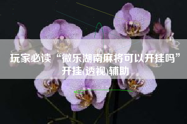 玩家必读“微乐湖南麻将可以开挂吗”开挂(透视)辅助