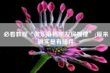 必看教程“微乐麻将亲友房规律	”(原来确实是有插件