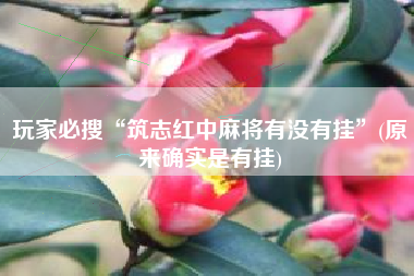 玩家必搜“筑志红中麻将有没有挂”(原来确实是有挂)