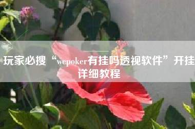 玩家必搜“wepoker有挂吗透视软件	”开挂详细教程